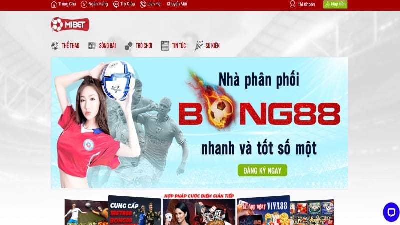 Casino Mibet - Nhà cái cá cược trực tuyến uy tín hàng đầu